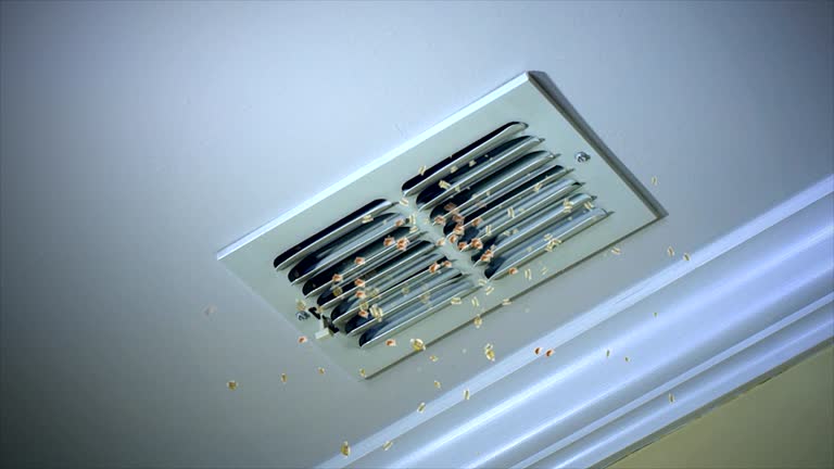 Best Home Air Vent Cleaning  in Washington, IL